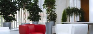 Vertical blinds
